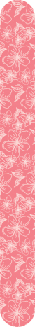 5028B(ST)